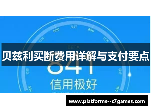 贝兹利买断费用详解与支付要点 贝兹利买断费用详解与支付要点