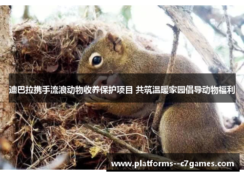 迪巴拉携手流浪动物收养保护项目 共筑温暖家园倡导动物福利