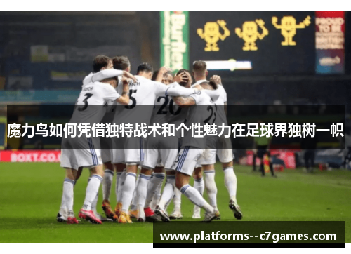 魔力鸟如何凭借独特战术和个性魅力在足球界独树一帜
